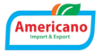 americano logo english transparent